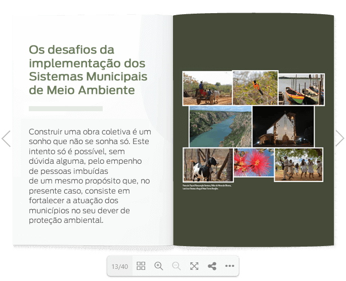 Os desafios da implementação dos Sistemas Municipais de Meio Ambiente